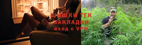 крисы Чердынь
