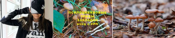 героин Алексеевка