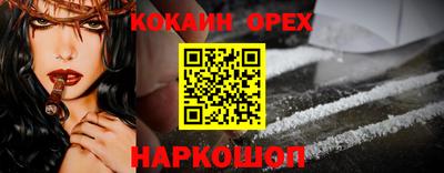 гидра Новозыбков