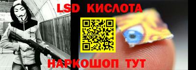 гидра Новозыбков