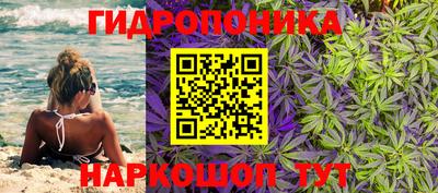 кокс Новокубанск