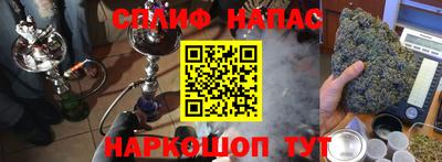 гидра Новозыбков