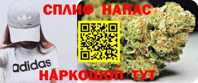 гидра Новозыбков