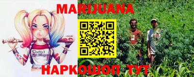 гидра Новозыбков