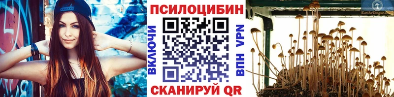 где купить наркоту Октябрьский Галлюциногенные грибы прущие грибы