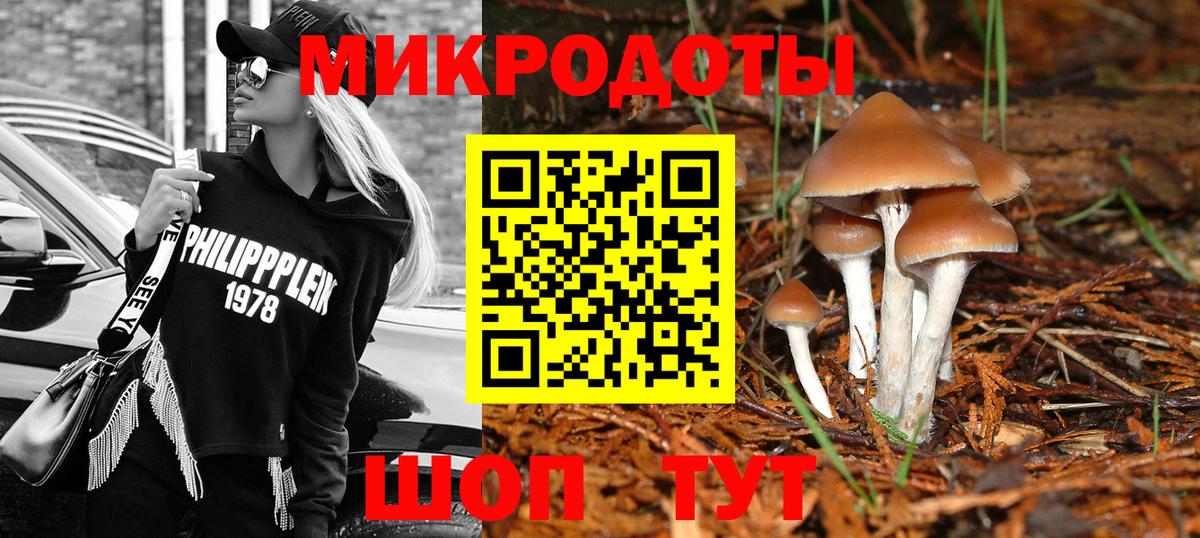 Псилоцибиновые грибы ЛСД Октябрьский