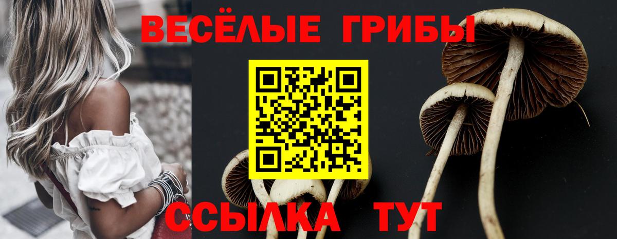 Псилоцибиновые грибы прущие грибы  Вход с VPN  Октябрьский 